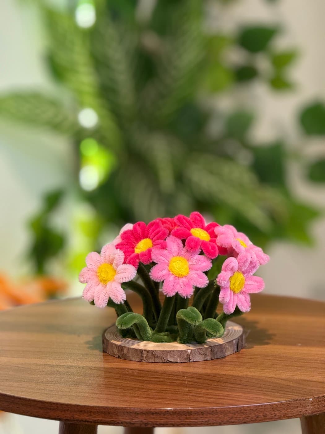 Little garden çəhrayı şönildən